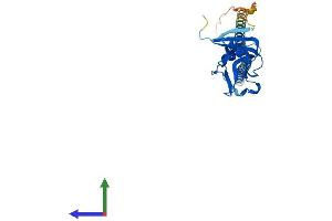 AlphaFold protein structure predicition of Mouse Recombinant Klra1 Protein, UniprotID P20937