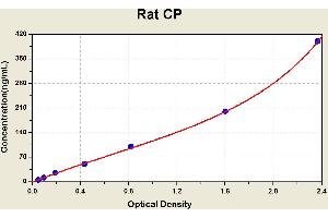 Diagramm of the ELISA kit to detect Rat CPwith the optical density on the x-axis and the concentration on the y-axis. (Ceruloplasmin ELISA Kit)