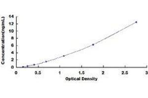 ELISA image for Prostate Specific Antigen (PSA) ELISA Kit (ABIN414938)