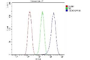 Flow Cytometry analysis of U87 cells using anti-HOOK3 antibody (ABIN6719547). (HOOK3 Antikörper  (AA 14-198))