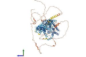 Protein Structure (PS) image for Chloride Channel 1, Skeletal Muscle (CLCN1) (AA 1-994) protein (His tag) (ABIN7563987)