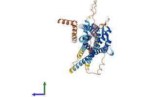 Protein Structure (PS) image for Relaxin 3 Receptor 1 (RXFP3) (AA 1-469) protein (His tag) (ABIN7551437)