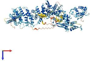 UBE3C Protein (AA 1-1083) (His tag)