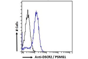 ABIN570956 Flow cytometric analysis of paraformaldehyde fixed Jurkat cells (blue line), permeabilized with 0.