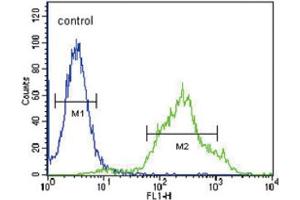 Flow Cytometric analysis of ZDHHC21 Antibody (N-term) 293 cells (right histogram) compared to a negative control cell (left histogram).