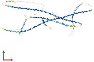 Protein Structure (PS) image for Golgin A2 (GOLGA2) (AA 1-1002) protein (His tag) (ABIN7554026)