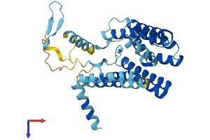 PEX16 Protein (AA 1-336) (His tag)