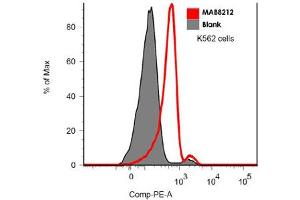 Flow cytometric analysis of FLT3 in K-562 cells with 5 ug/mL of FLT3 monoclonal antibody, clone BV10A4 . (FLT3 Antikörper)