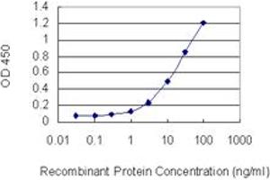 Detection limit for recombinant GST tagged RPS6KA6 is 0. (RPS6KA6 Antikörper  (AA 636-745))