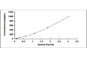 Typical standard curve (VEGFA ELISA Kit)