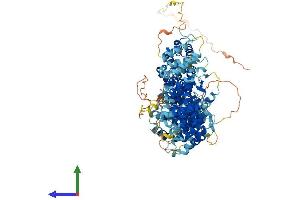 AlphaFold protein structure predicition of Human Recombinant TEX10 Protein, UniprotID Q9NXF1