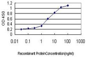 Detection limit for recombinant GST tagged APOL3 is approximately 0. (APOL3 Antikörper  (AA 240-336))