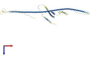 CEP57 Protein (AA 1-500) (His tag)