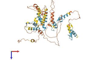 ZNF215 Protein (AA 1-517) (His tag)