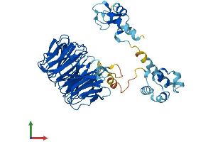 AlphaFold protein structure predicition of Human Recombinant WDSUB1 Protein, UniprotID Q8N9V3