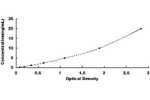 Typical standard curve (GPER ELISA Kit)