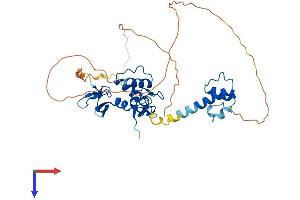 RNF34 Protein (AA 1-372) (His tag)