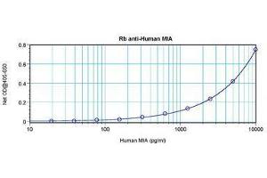 Image no. 4 for anti-Melanoma Inhibitory Activity (MIA) antibody (ABIN464851) (MIA Antikörper)