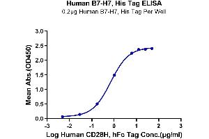 Immobilized Human B7-H7, His Tag at 2 μg/mL (100 μL/well) on the plate. (HHLA2 Protein (AA 23-344) (His tag))