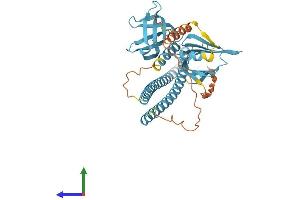 Protein Structure (PS) image for Synaptosomal-Associated Protein, 47kDa (SNAP47) (AA 1-413) protein (His tag) (ABIN7559775)