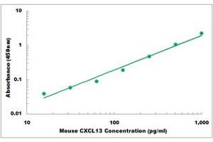 Representative Standard Curve (CXCL13 ELISA Kit)