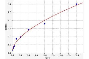 AKR1B1 ELISA Kit