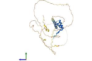 AlphaFold protein structure predicition of Human Recombinant NKX2-1 Protein, UniprotID P43699 (NKX2-1 Protein (AA 1-371) (His tag))