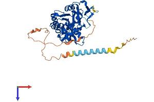 HS3ST2 Protein (AA 1-367) (His tag)