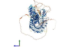 Protein Structure (PS) image for PH Domain and Leucine Rich Repeat Protein Phosphatase 2 (PHLPP2) (AA 1-1320) protein (His tag) (ABIN7564455)