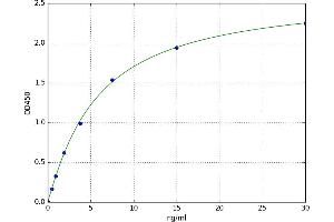 Heat Shock 70kDa Protein 5 (Glucose-Regulated Protein, 78kDa) (HSPA5) ELISA Kit