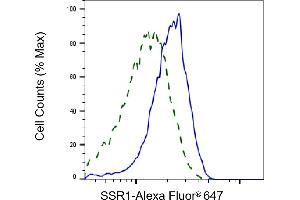 Flow cytometric analysis of SSR1 expression in HepG2 cells using SSR1 antibody (ABIN7800333), 1:2,000). (Rekombinanter SSR1 Antikörper)