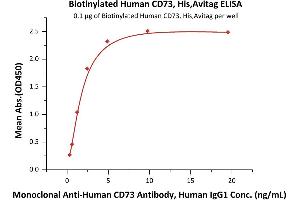 ELISA image for 5'-Nucleotidase, Ecto (CD73) (NT5E) (AA 27-549) (Active) protein (His tag,AVI tag,Biotin) (ABIN6810044)