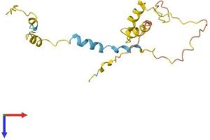AlphaFold protein structure predicition of Mouse Recombinant Mycb Protein, UniprotID Q6P8Z1