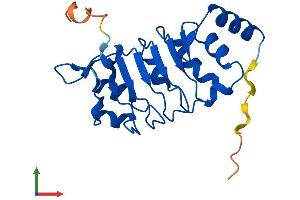 Protein Structure (PS) image for Leucine Rich Transmembrane and 0-Methyltransferase Domain Containing (LRTOMT) (AA 1-192) protein (His tag) (ABIN7561227)