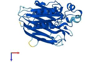 AlphaFold protein structure predicition of Mouse Recombinant Tango2 Protein, UniprotID P54797