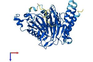 Secernin 3 Protein (SCRN3) (AA 1-418) (His tag)