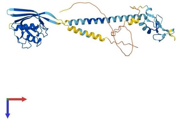 RNF133 Protein (AA 1-376) (His tag)