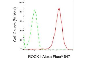 Flow cytometric analysis of ROCK1 expression in HeLa cells using ROCK1 antibody (ABIN7800204), 1:2,000). (Rekombinanter ROCK1 Antikörper)