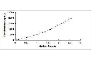 Typical standard curve (CCL21 ELISA Kit)