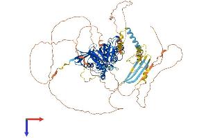 EPB41 Protein (AA 1-864) (His tag)