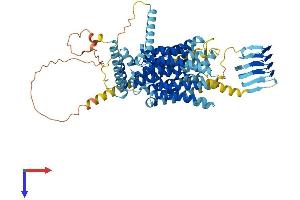 AlphaFold protein structure predicition of Human Recombinant SV2C Protein, UniprotID Q496J9 (SV2C Protein (AA 1-727) (His tag))