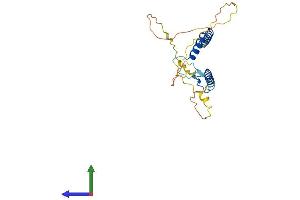 Protein Structure (PS) image for Regulatory Factor X-Associated Protein (RFXAP) (AA 1-231) protein (His tag) (ABIN7559817)