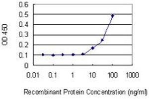 Detection limit for recombinant GST tagged IPP is 3 ng/ml as a capture antibody. (IPP Antikörper  (AA 105-204))