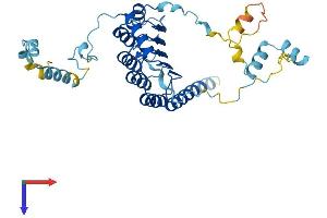 TMOD2 Protein (AA 1-351) (His tag)