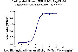 Immobilized Anti-MSLN Antibody at 2 μg/mL (100 μL/Well) on the plate. (Mesothelin Protein (MSLN) (Fc-Avi Tag,Biotin))