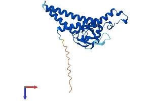 GINS4 Protein (AA 1-223) (His tag)