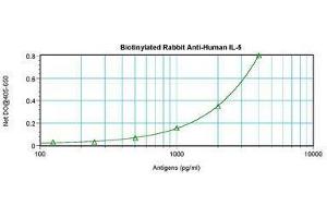 Image no. 2 for anti-Interleukin 5 (IL5) antibody (Biotin) (ABIN465376) (IL-5 Antikörper  (Biotin))