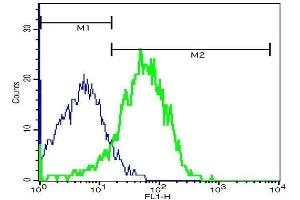Flow Cytometry (FACS) image for anti-Mannose Receptor, C Type 1 (MRC1) (AA 201-300) antibody (ABIN1386219)