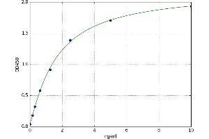 A typical standard curve