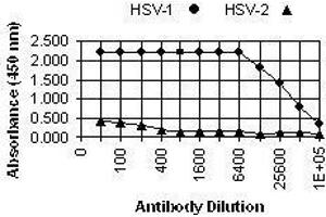 ELISA image for anti-Herpes Simplex Virus Type 1, Glycoprotein G (HSV1 gG) antibody (ABIN265554) (HSV1 gG Antikörper)